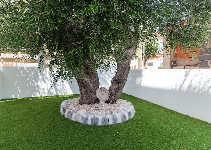 Perla Verde, Wifi E Air Con 公寓 卡拉古诺内